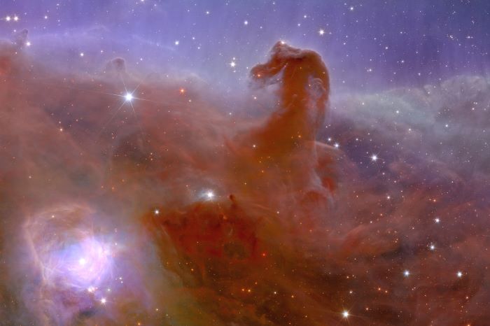 Der Pferdekopfnebel im Orion. Credit: ESA / Euclid / Euclid Consortium / NASA, image processing by J.-C. Cuillandre, G. Anselmi; CC BY-SA 3.0 IGO