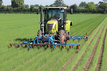 Foto_Feldarbeit
